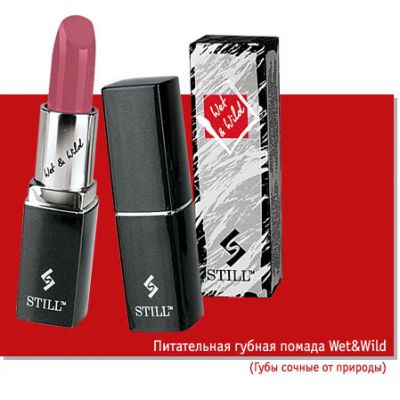 Лот: 3595345. Фото: 1. Питательная губная помада Wet... Макияж
