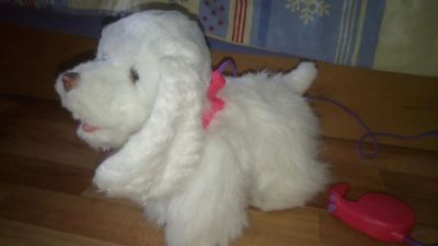 Лот: 7336737. Фото: 1. Продам интерактивную собачку Furreal... Другое (игрушки)