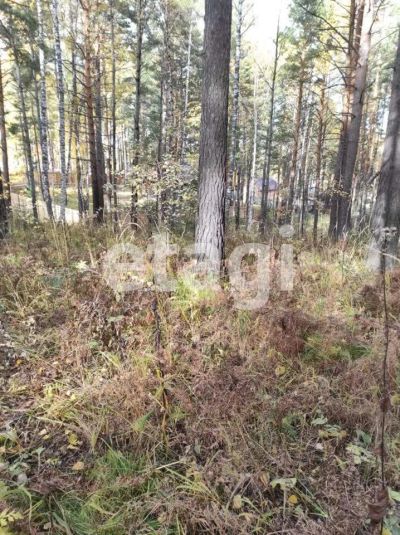 Лот: 25293921. Фото: 1. участок , садоводческое некоммерческое... Земельные участки