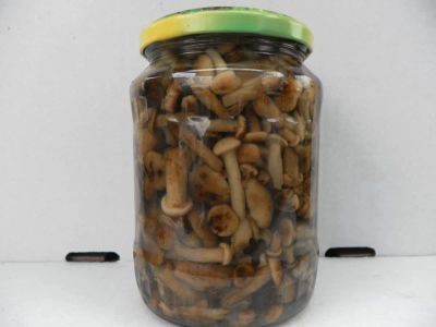 Лот: 4731114. Фото: 1. маринованные грибы опята 450гр. Грибы