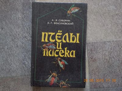 Лот: 5604796. Фото: 1. пчелы и пасека. Сад, огород, цветы