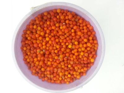 Лот: 9136510. Фото: 1. Продам облепиху. Домашние заготовки