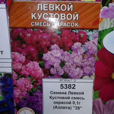 Лот: 9118145. Фото: 1. Семена / цветы / Левкой Кустовой... Садовые цветы