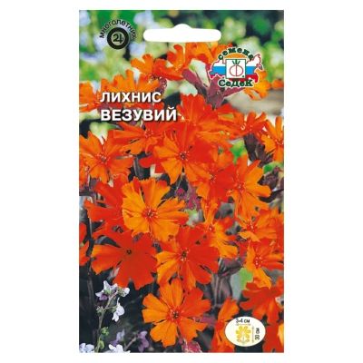 Лот: 24079301. Фото: 1. Семена Цветы, Лихнис, Везувий... Другое (семена, рассада, садовые растения)