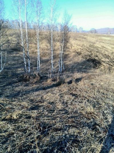 Лот: 11664095. Фото: 1. Ижс. Земельные участки