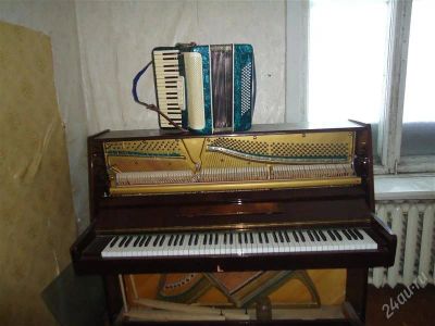 Лот: 1494173. Фото: 1. Продам акардеон б/у. Клавишные
