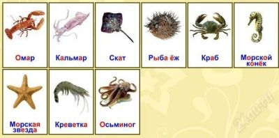 Лот: 2200656. Фото: 1. Карточки Домана, ламинированные... Развивающие