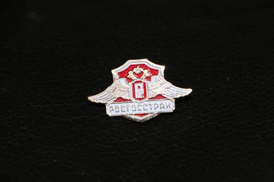 Лот: 3448950. Фото: 1. Тяжелый значок: Росгосстрах. РГС... Сувенирные