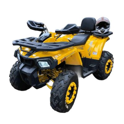 Лот: 25364758. Фото: 1. Квадроцикл MOTOLAND 200 Wild Track... Снегоходы, квадроциклы