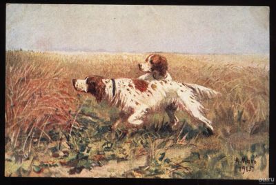 Лот: 15224057. Фото: 1. дореволюционная открытка * собаки... Документы, ценные бумаги, письма