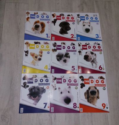 Лот: 19615763. Фото: 1. Журналы "The DOG Collection". Детские