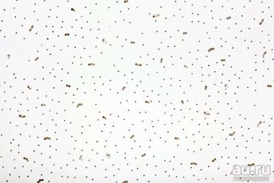 Лот: 10531630. Фото: 1. Плита для потолка Армстронг Ангара. Подвесные потолки, гипсокартон
