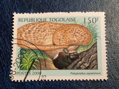 Лот: 25633957. Фото: 1. - Марки для Вашей коллекции. лот... Марки