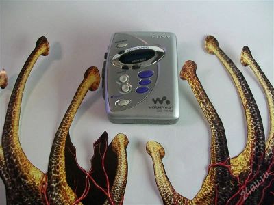 Лот: 2857272. Фото: 1. SONY WM-FX277. Плееры