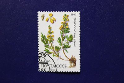 Лот: 6849526. Фото: 1. Почтовая марка №4007 в коллекцию. Марки
