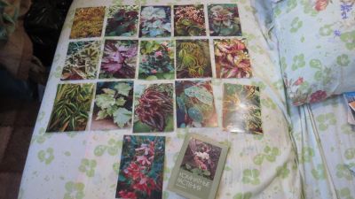Лот: 10859062. Фото: 1. набор открыток Комнатные растения... Открытки, конверты