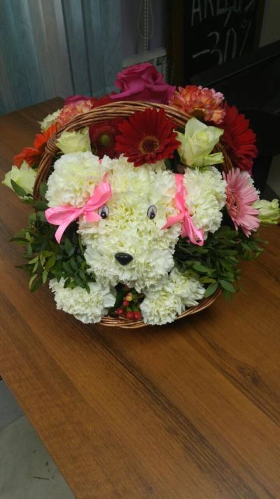 Лот: 12604826. Фото: 1. Композиция из живых цветов "Собака... Свежие цветы