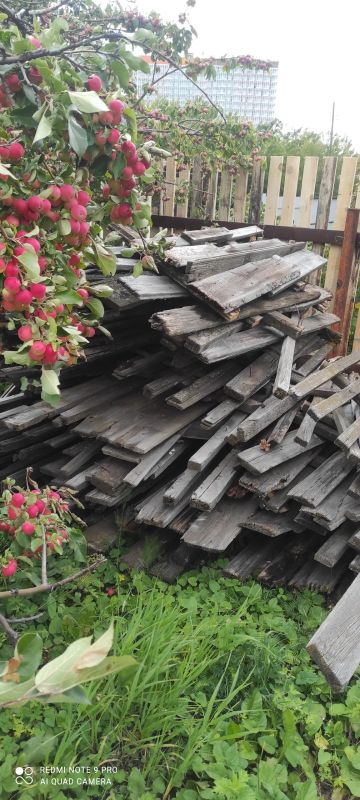Лот: 19400156. Фото: 1. Забор на дрова. Дрова, горбыль