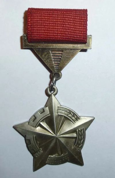 Лот: 6672980. Фото: 1. знак передовик интернационального... Другое (значки, медали, жетоны)