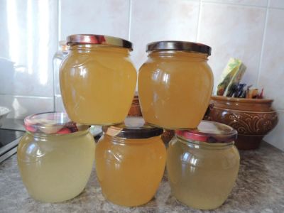 Лот: 8636779. Фото: 1. продукты Мед. Мёд, продукты пчеловодства