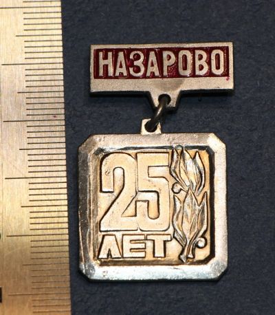Лот: 12769773. Фото: 1. Значок: город Назарово. Красноярский... Другое (значки, медали, жетоны)