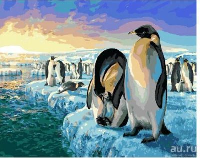 Лот: 9885914. Фото: 1. Картина по номерам "Пингвины Арктики... Картины по номерам