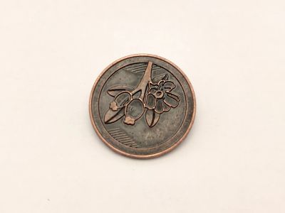 Лот: 20503807. Фото: 1. Обычная монета из пятёрочки Гульд... Сувенирные