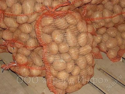 Лот: 1734590. Фото: 1. Картошка! сетка 35 кг 300 рублей... Картофель