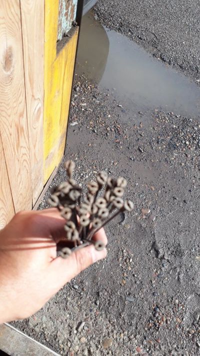 Лот: 14019034. Фото: 1. спицы для 26 колеса, сильно бу... Запчасти