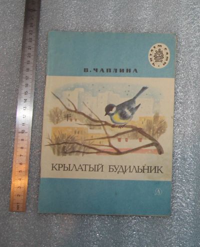 Лот: 24881066. Фото: 1. Чаплина В. Крылатый будильник... Познавательная литература