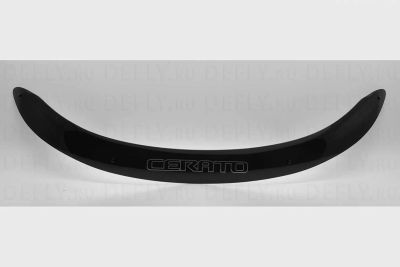 Лот: 13950714. Фото: 1. Kia Cerato, Forte, Koup 2008-2013... Детали тюнинга