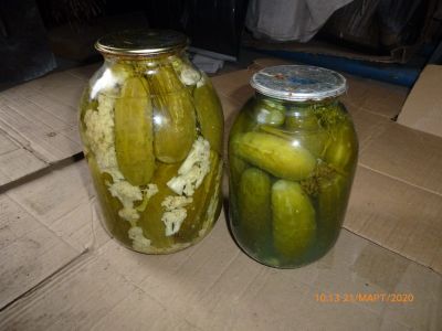 Лот: 13595518. Фото: 1. Огурцы солёные. Домашние заготовки