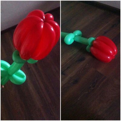 Лот: 11249881. Фото: 1. Тюльпаны (цветы, букеты) из воздушных... Воздушные шары