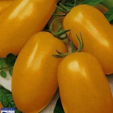Лот: 10791552. Фото: 1. Семена томата "Ракета жёлтая... Овощи