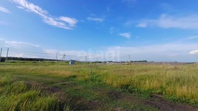 Лот: 25602086. Фото: 1. участок , село Есаулово Плодовая... Земельные участки