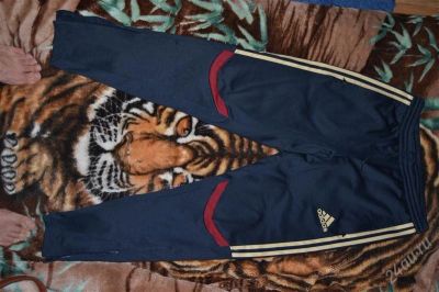 Лот: 1704526. Фото: 1. Штаны Adidas Russia. Брюки, джинсы, шорты