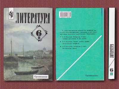 Лот: 6609645. Фото: 1. Учебник Литература 6 класс. Для школы