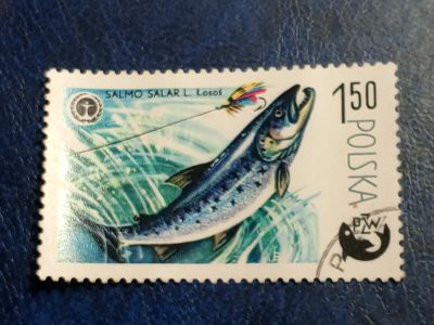 Лот: 25650906. Фото: 1. - Марки для Вашей коллекции. лот... Марки