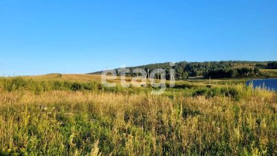 Лот: 25293610. Фото: 1. участок , село Зыково село Зыково... Земельные участки