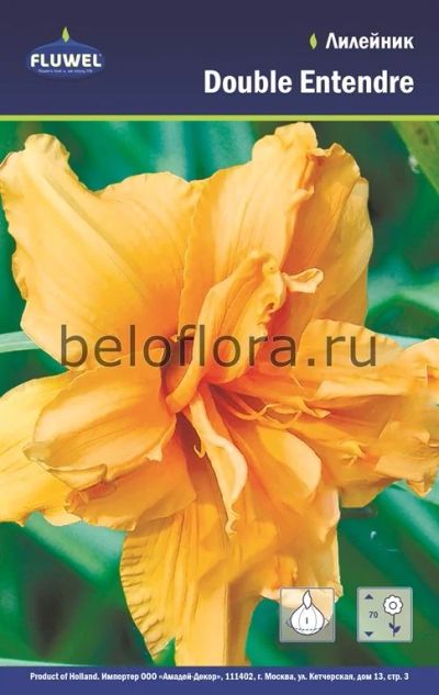 Лот: 15770596. Фото: 1. Лилейник Дабл Энтендре / Double... Садовые цветы