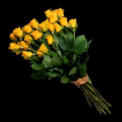 Лот: 6409935. Фото: 1. Шикарный букет из 33 роз! Лот... Свежие цветы