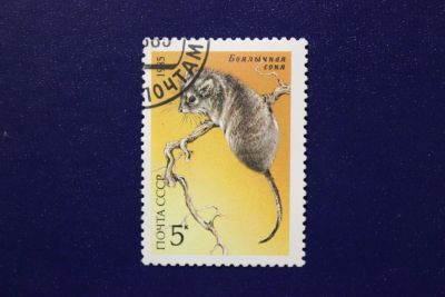 Лот: 6856069. Фото: 1. Почтовая марка №4104 в коллекцию. Марки