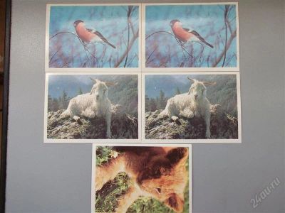 Лот: 831694. Фото: 1. Серия "Животные" 5шт 1990г(обмен... Календари