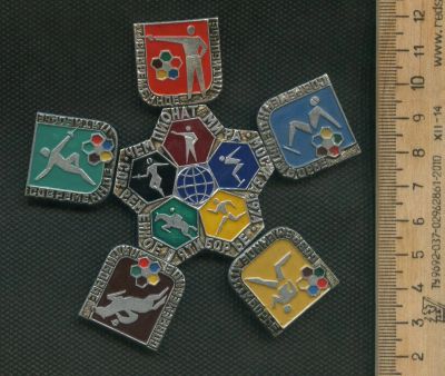 Лот: 17335412. Фото: 1. (№ 4985 ) значки спорт, Чемпионат... Сувенирные