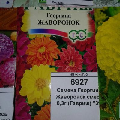 Лот: 9114138. Фото: 1. Семена / цветы / Георгина / Жаворонок... Садовые цветы