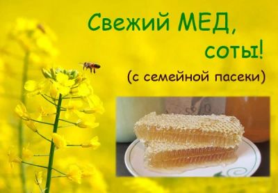 Лот: 8490294. Фото: 1. Мед с семейной пасеки. Мёд, продукты пчеловодства