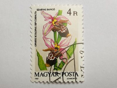 Лот: 23316451. Фото: 1. Цветы. Орхидеи. 4 форинта. Флора... Марки