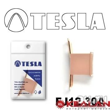 Лот: 8598507. Фото: 1. TESLA FJ12 30A предохранитель... Расходные материалы