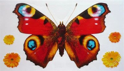 Лот: 2353401. Фото: 1. наклейки "бабочки" новые. Другое (игрушки)