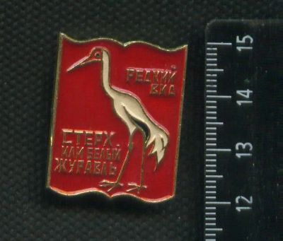 Лот: 17739137. Фото: 1. ( №9529 ) значки детство,Красная... Сувенирные